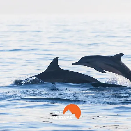 #016 T2 Windmill By Holidays Appartement Albufeira